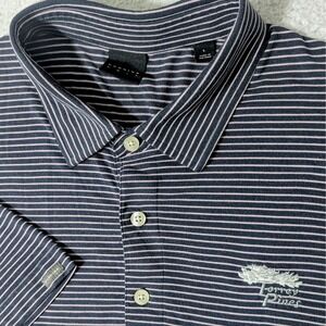 Dunning Golf Torrey Pines Polo Shirt Men L Blue Striped Short Sleeve Performance